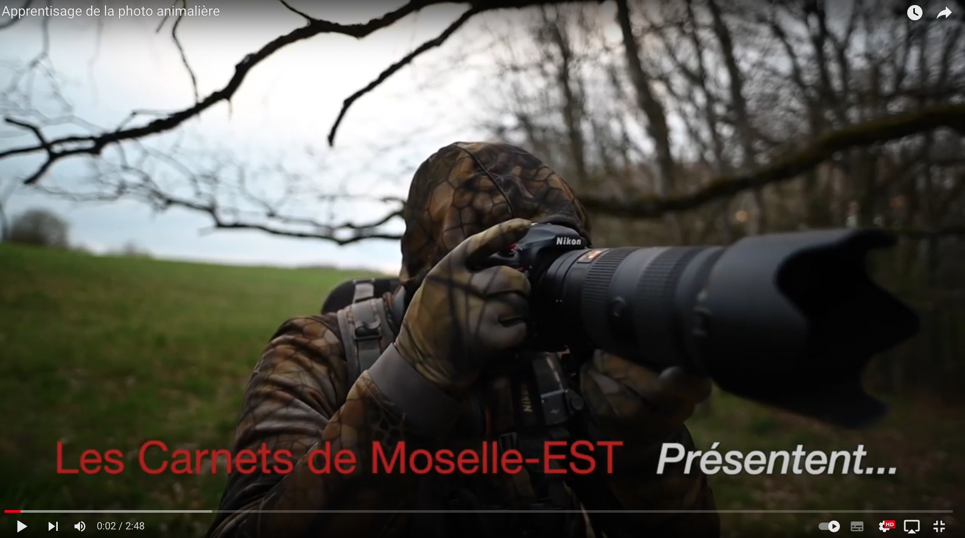 Apprentissage de la photo animalière