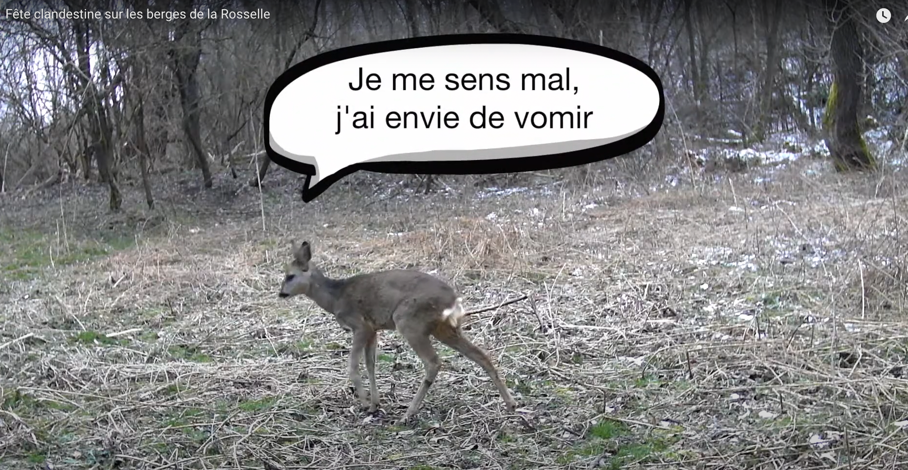 Fête clandestine