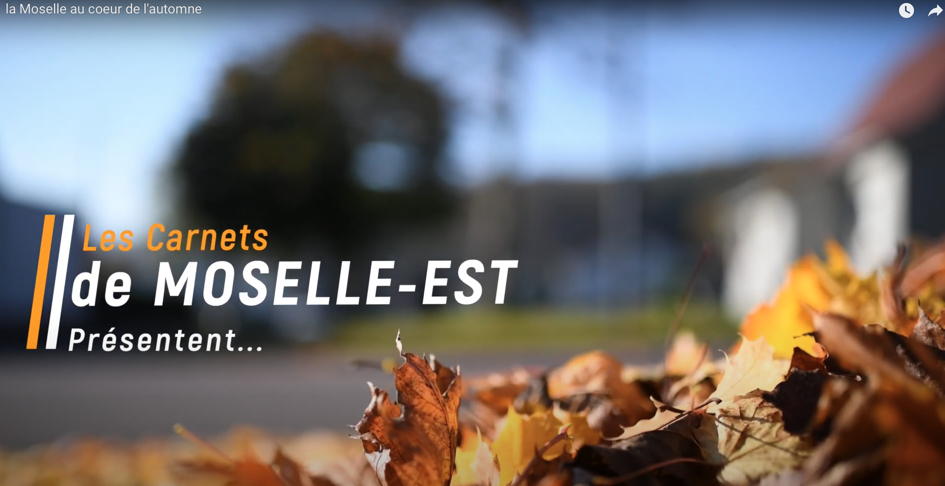 Au coeur de l'automne